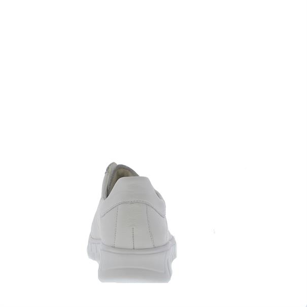 Birdy H Dames Sneaker