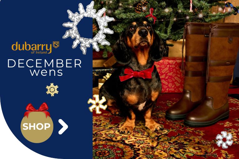 december wens dubarry