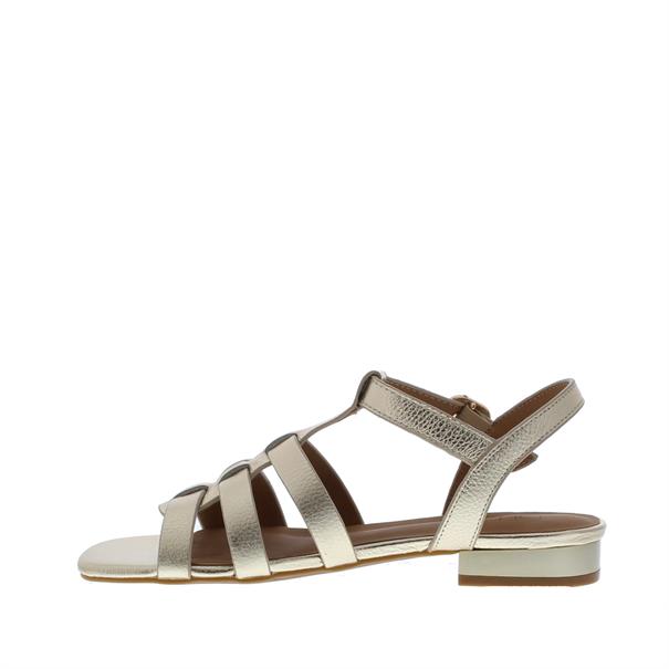 Di Lauro Desiree Vlecht Sandaal