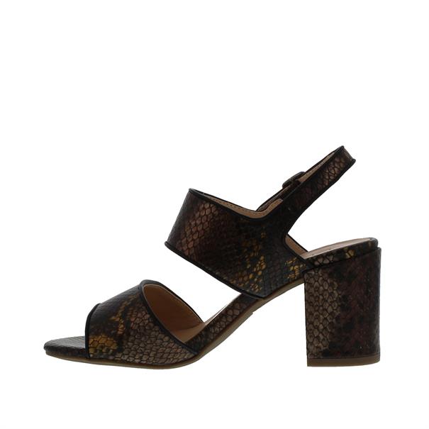 Di Lauro Helenoor Dames Sandaal