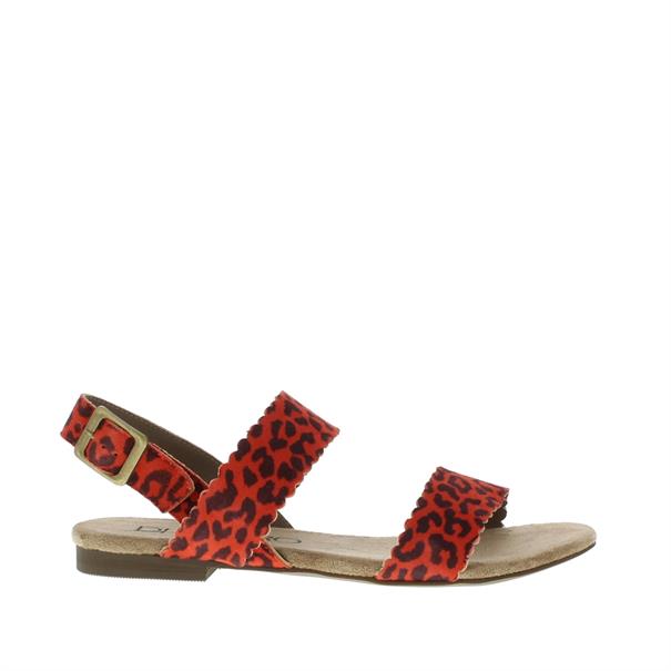 Di Lauro Kaatje Dames Sandaal