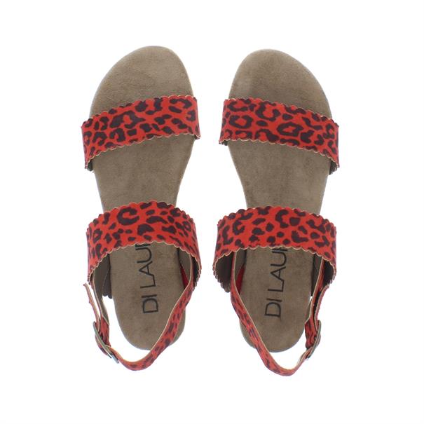 Di Lauro Kaatje Dames Sandaal