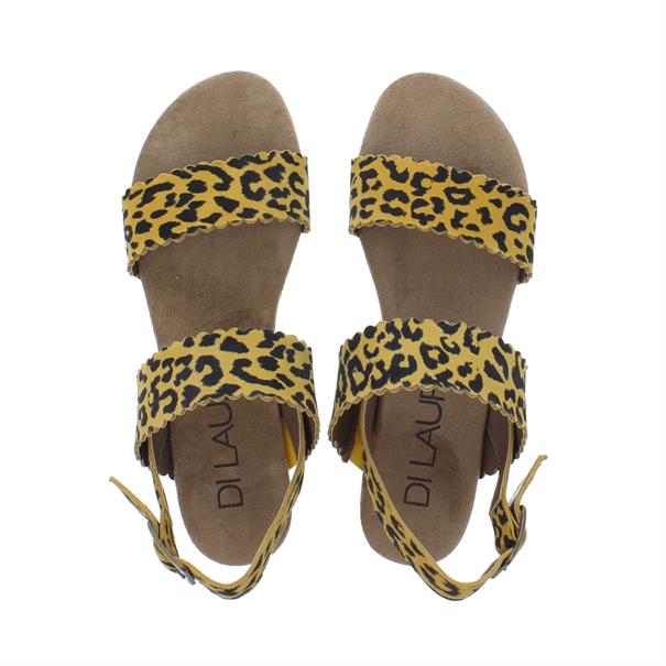 Di Lauro Kaatje Dames Sandaal