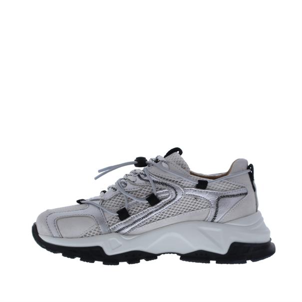 Dwrs B11443-02