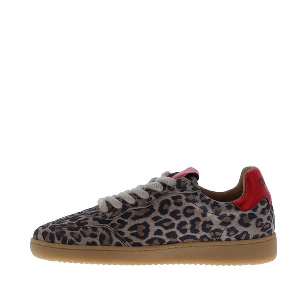 Dwrs Dames Sneaker Poona