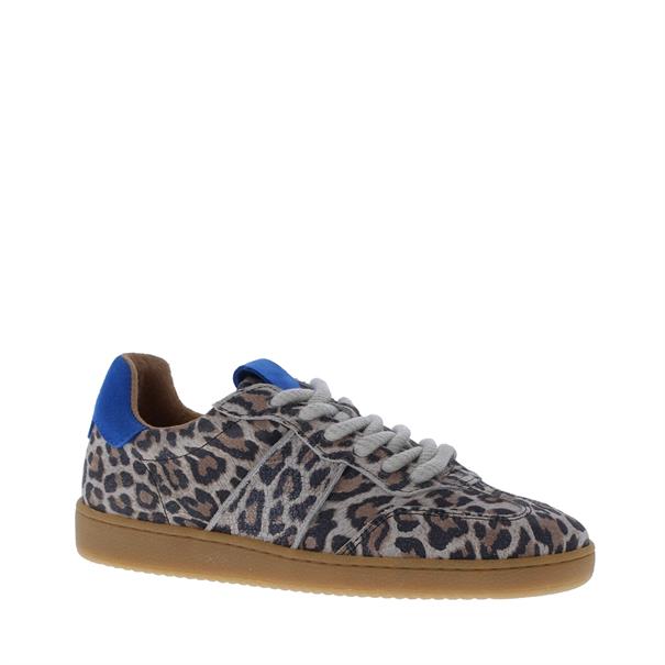 Dwrs Dames Sneaker Poona