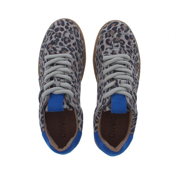 Dwrs Dames Sneaker Poona