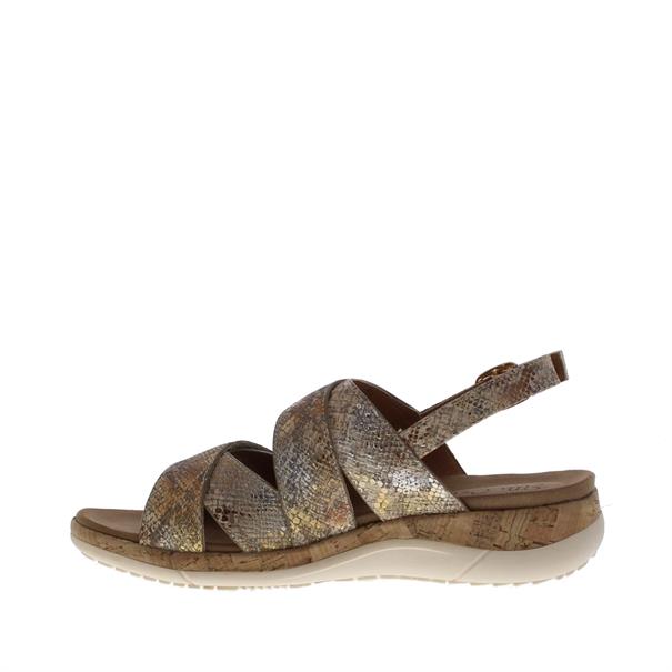 Ella Cruz Wilize Velcro Snake