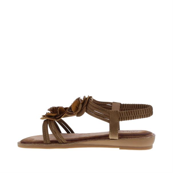 Ella Cruz Zavira Bloem Front