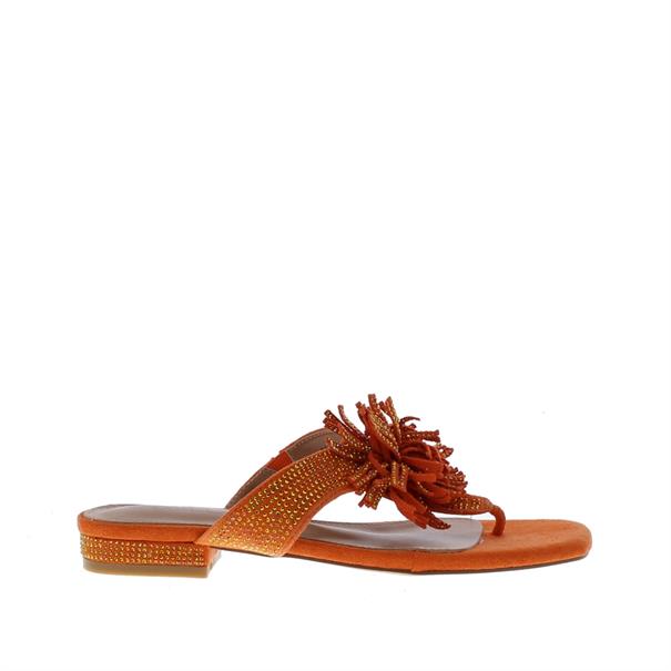 Ella Cruz Zhoe Strass Pompoen