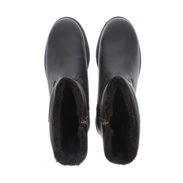 Fedro Heren Laars Gevoerd