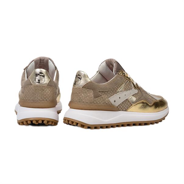 Floris van Bommel Noppi Dames Sneaker