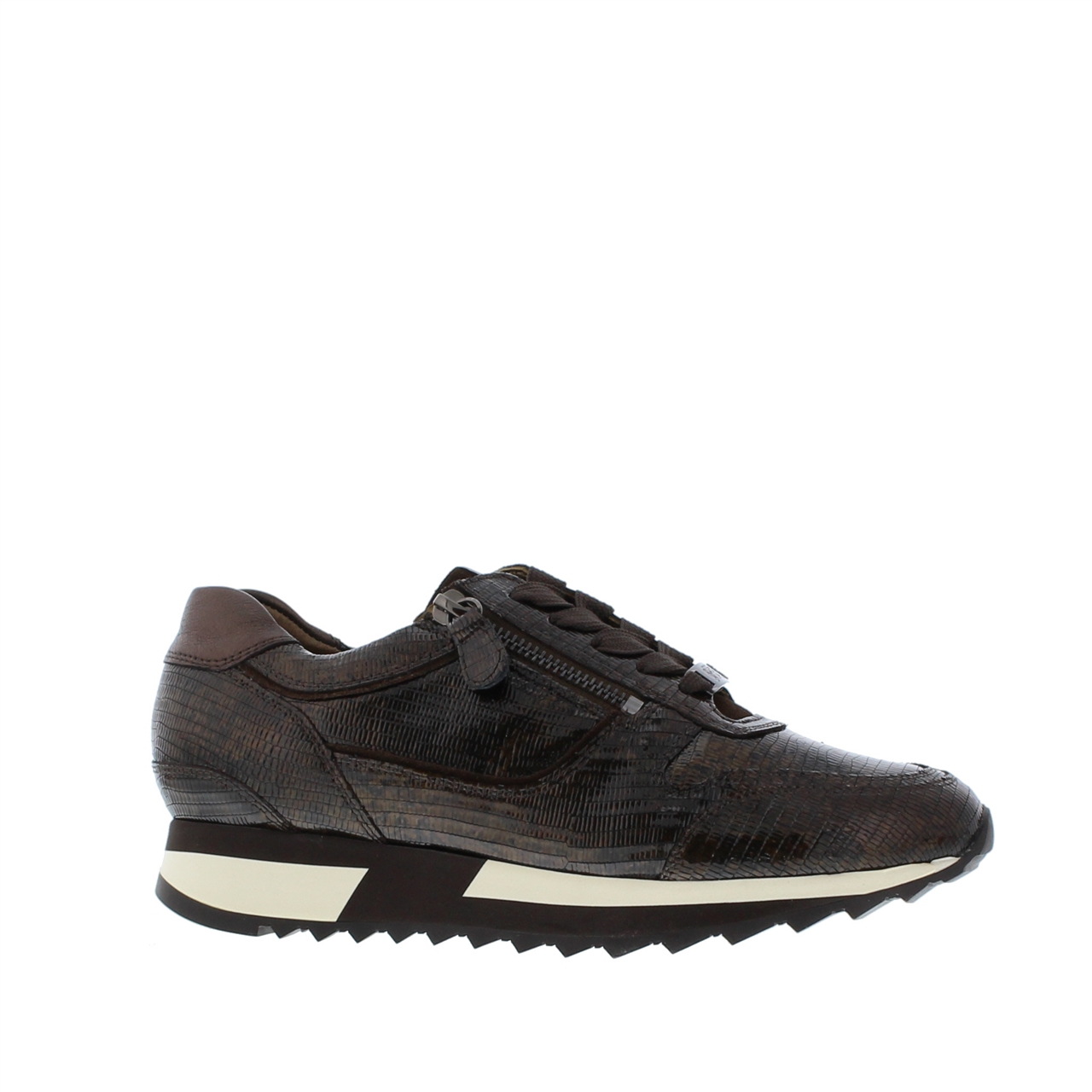 Hassia on sale sneakers sale