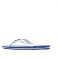 Havaianas Brasil Logo Heren Slipper