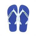 Havaianas Brasil Logo Heren Slipper