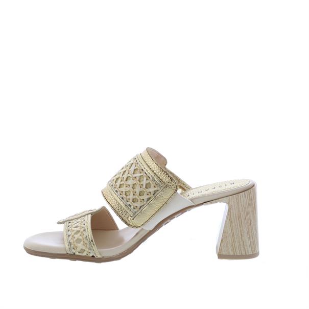 Hispanitas Orquideas Dames Slipper