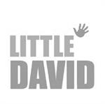 Little David