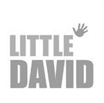little-david
