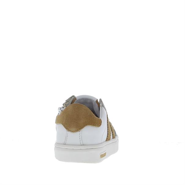 Pinocchio P1834 Kids Sneaker
