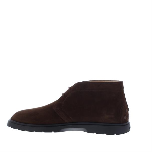 Polacco Ibrido Heren Booty