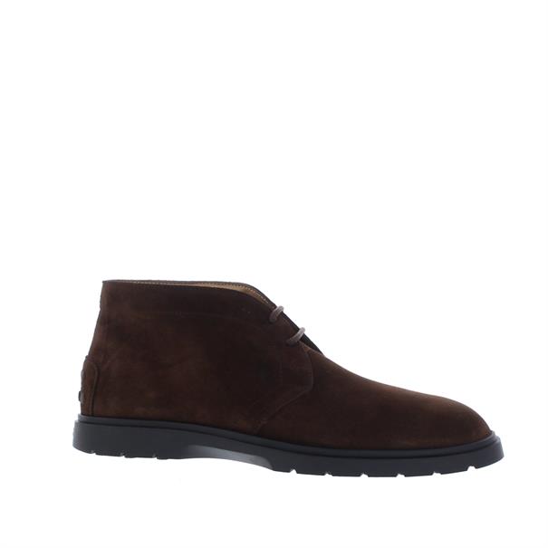 Polacco Ibrido Heren Booty