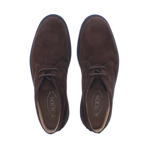 Polacco Ibrido Heren Booty