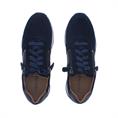 Rapid Soul Harva4 Reptiel Accent