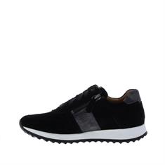 Rapid Soul Harva4 Reptiel Accent