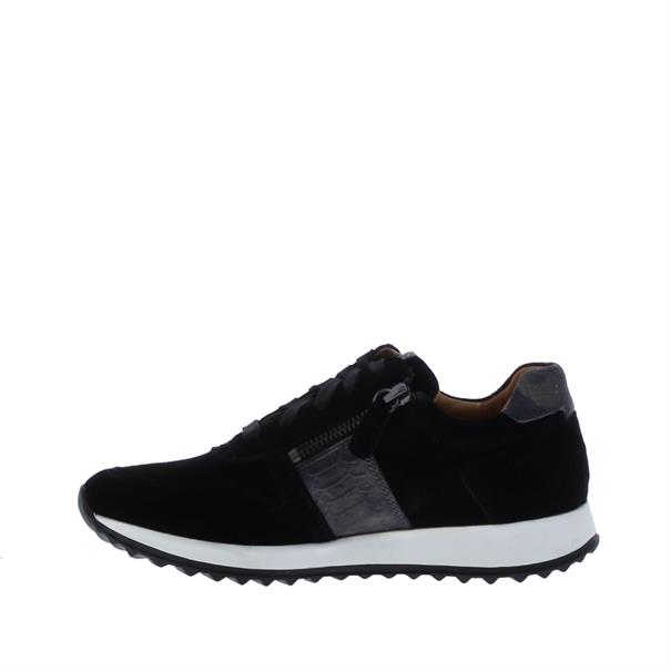 Rapid Soul Harva4 Reptiel Accent