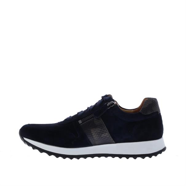 Rapid Soul Harva4 Reptiel Accent