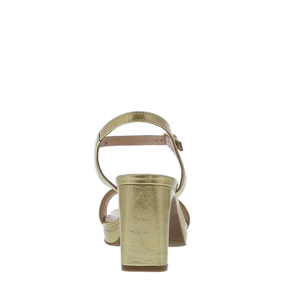 Talezy Plateau Patent