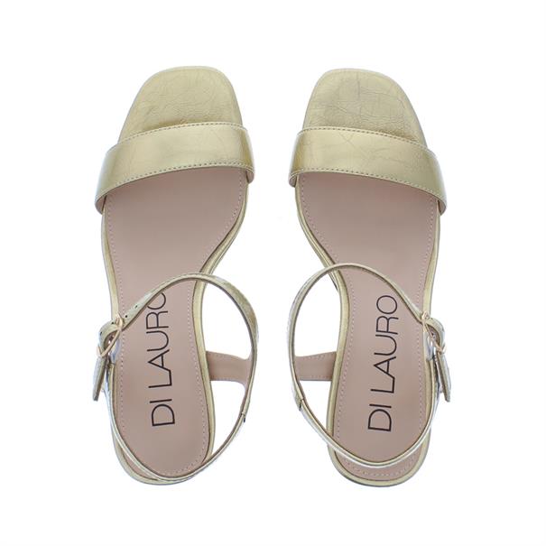 Talezy Plateau Patent