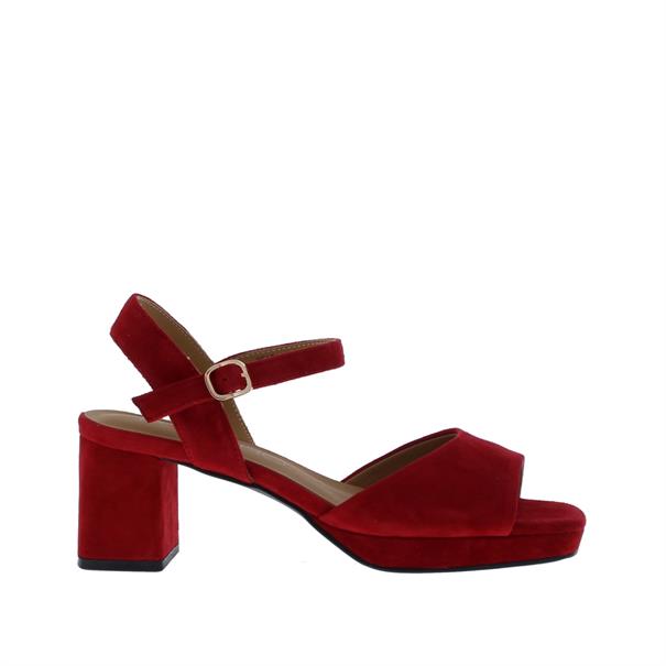 Tylina Blok Hak Plateau