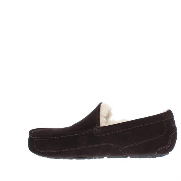 UGG Ascot Heren Pantoffel