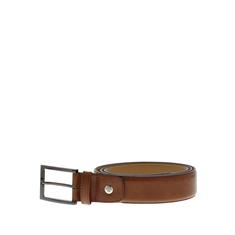 Van Bommel 75076 Heren Riem