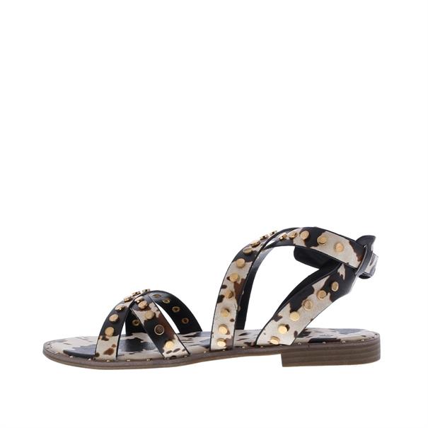 Vivian Ray Ziara Studs