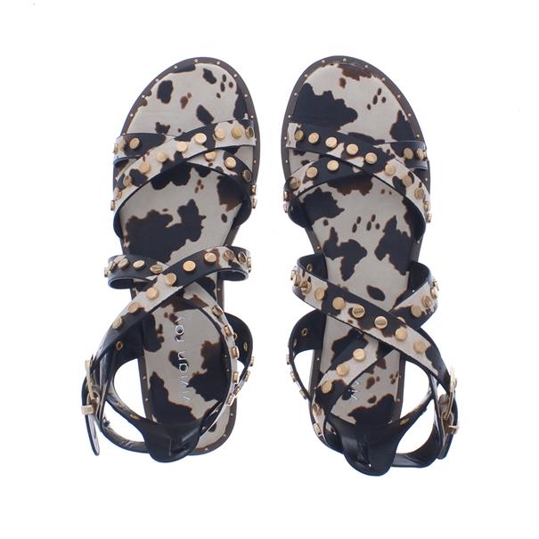 Vivian Ray Ziara Studs