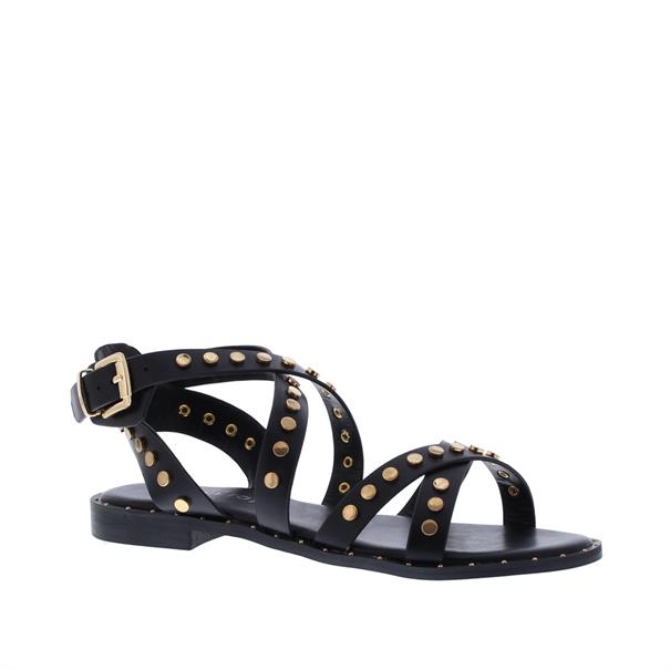 Vivian Ray Ziara Studs