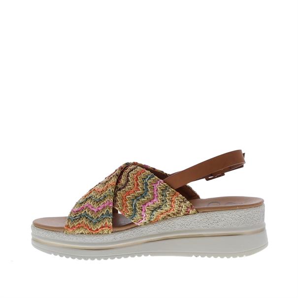 Wikje-1 Plateau Multi