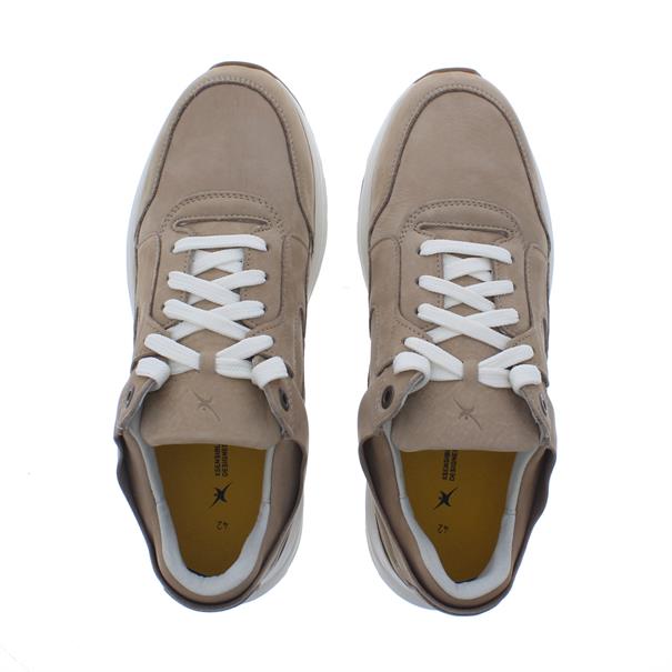Xsensible Golden Gate Men H Sneaker