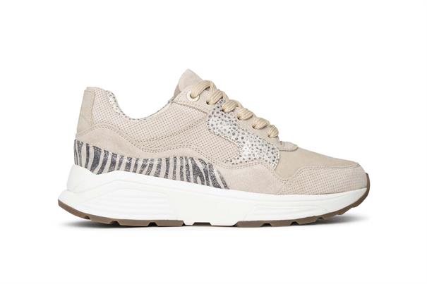 Xsensible Golden Gate Sneaker GX