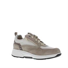 Xsensible Grenoble Dames Sneaker H